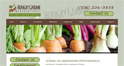 Desktop Screenshot of hungrygnome.org